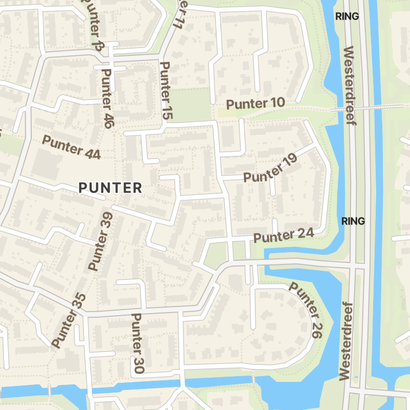 Punter 20 9