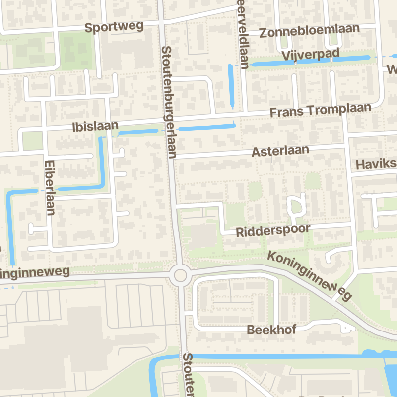 Ridderspoor 7