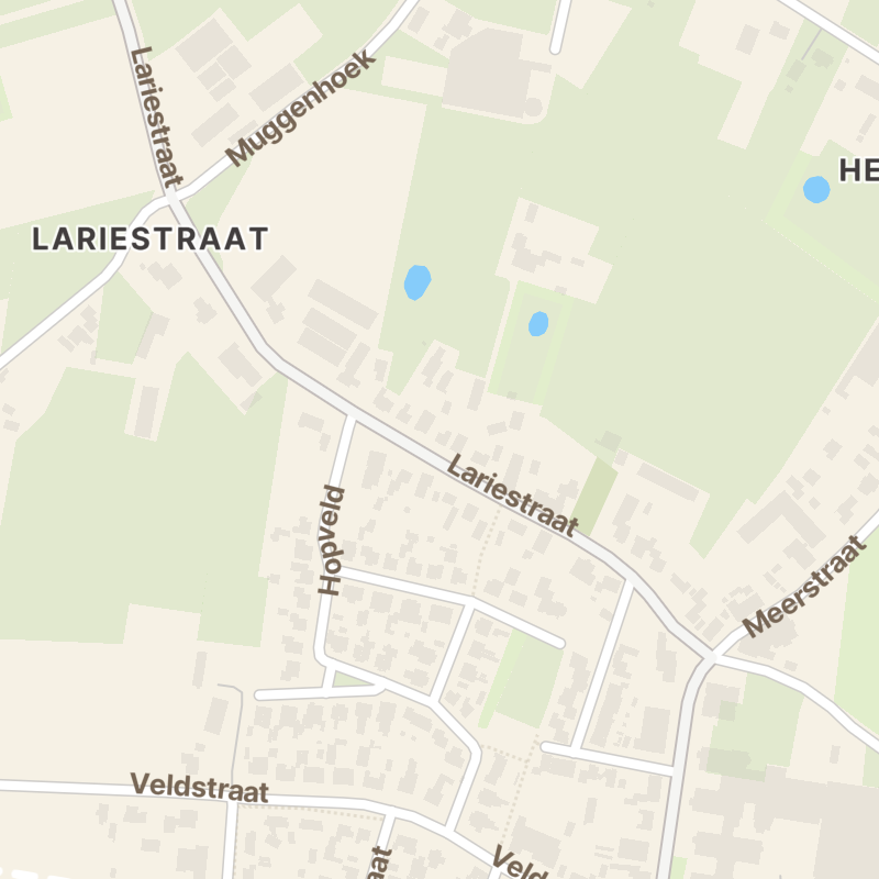 Lariestraat 26