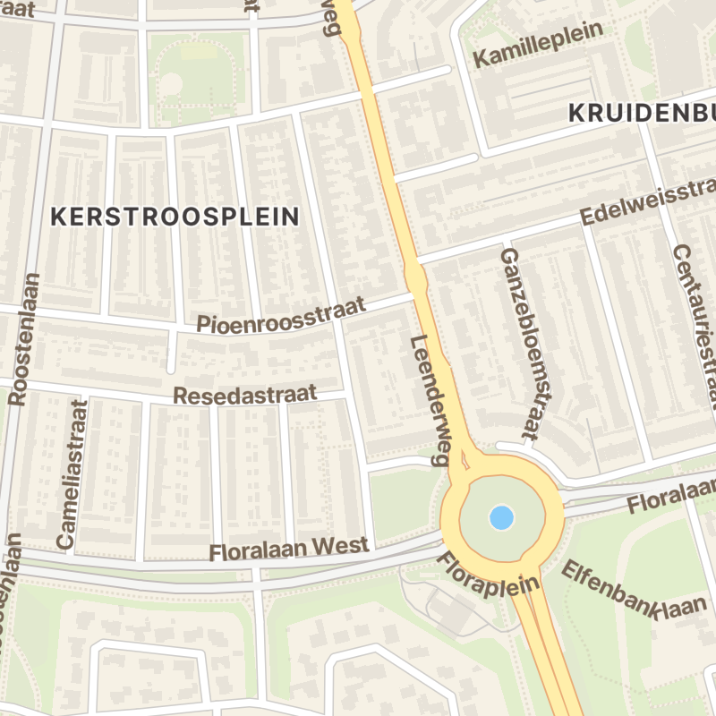 Wilgenroosstraat 55