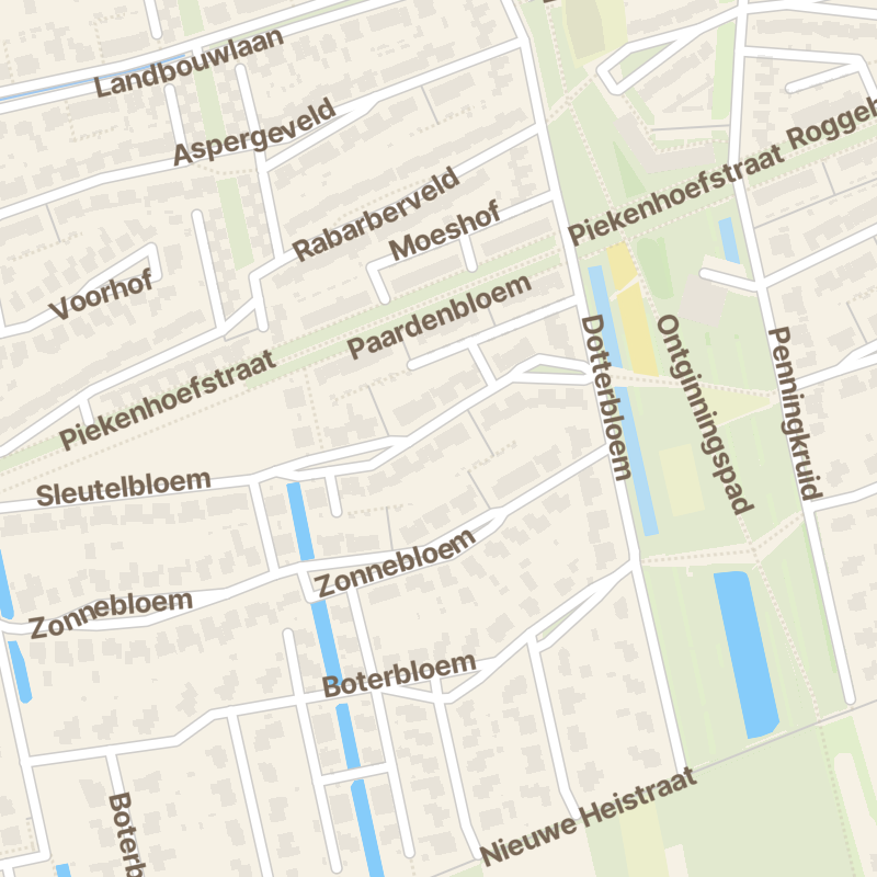 Sleutelbloem 56