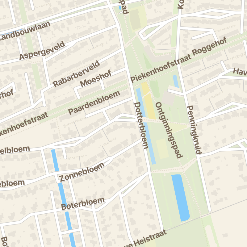 Sleutelbloem 72