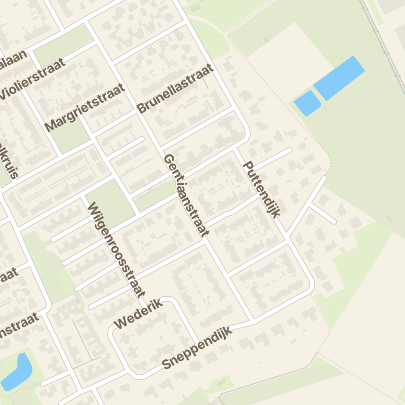 Gentiaanstraat 24