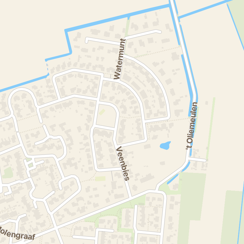 Lisdodde 11