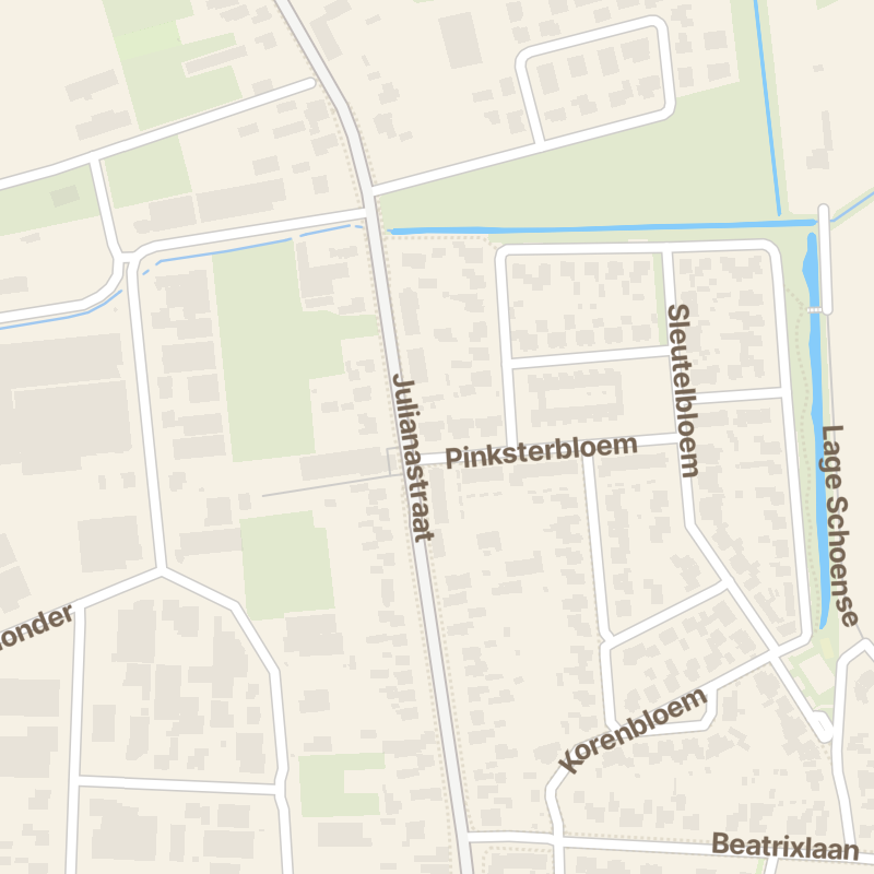 Pinksterbloem 1-b