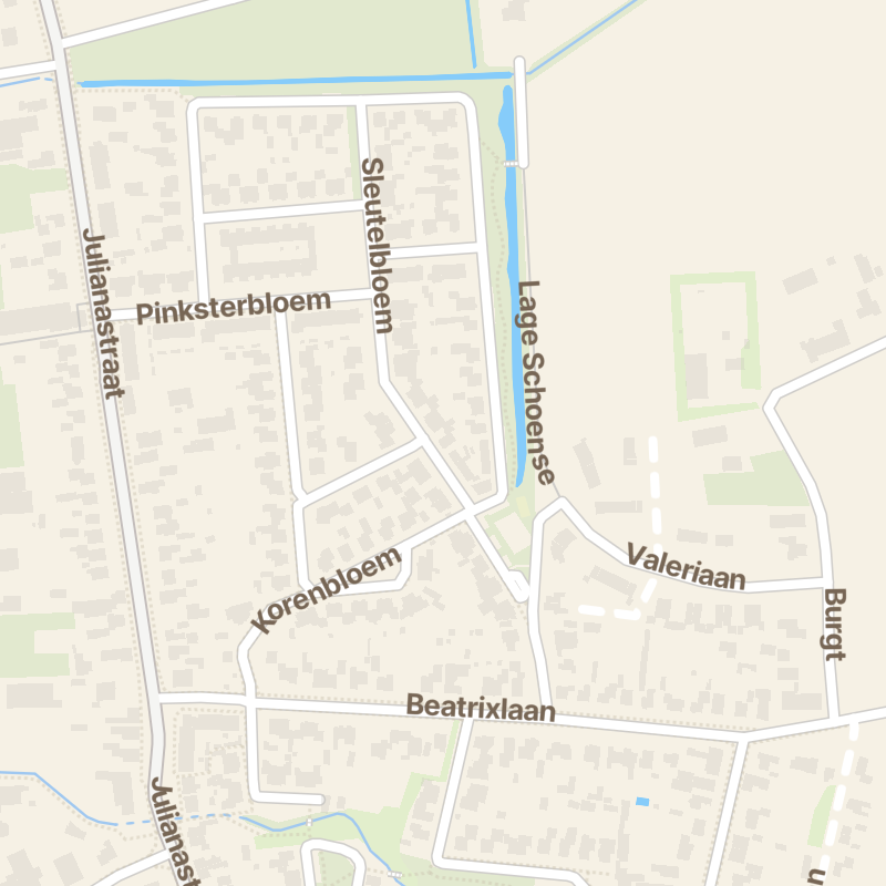 Sleutelbloem 8