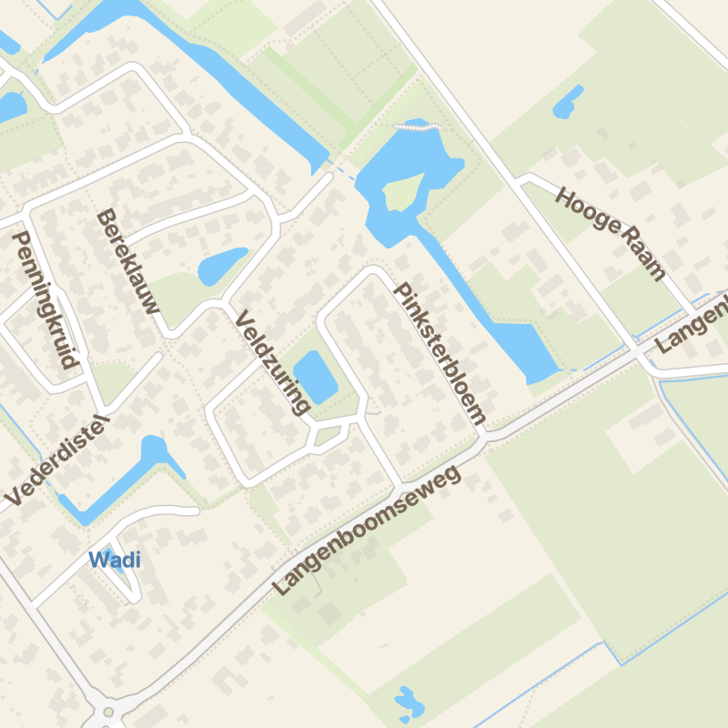 Koekoeksbloem 10