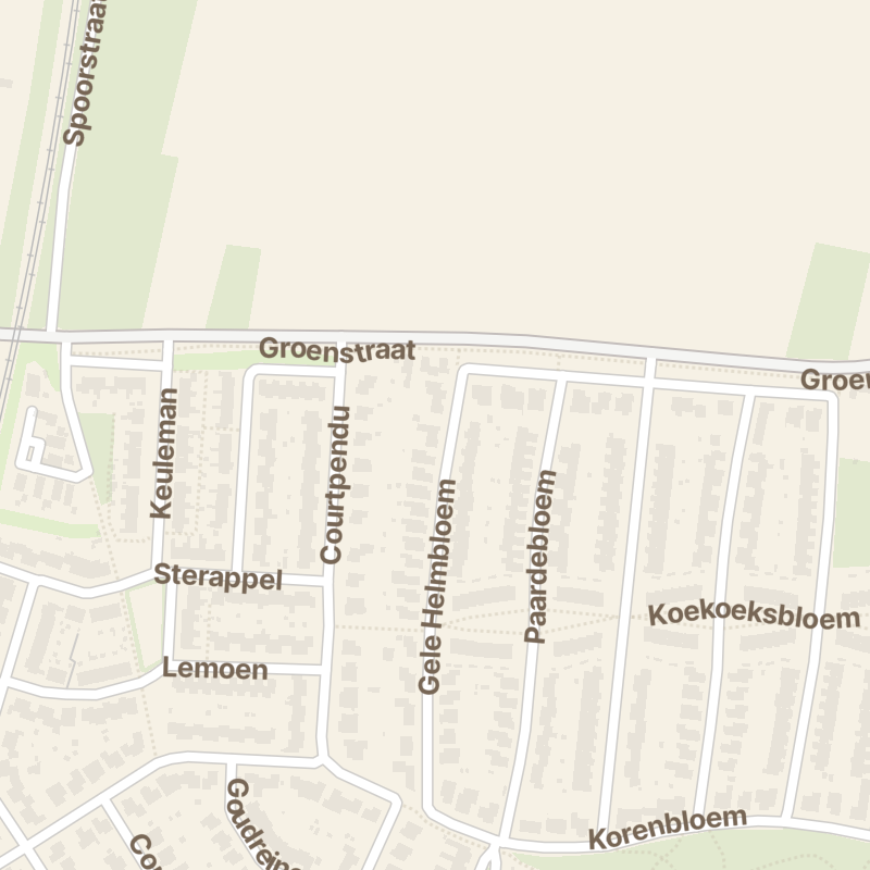 Gele Helmbloem 6