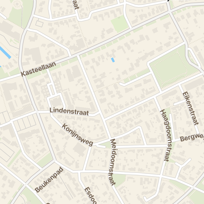 Meidoornstraat 17