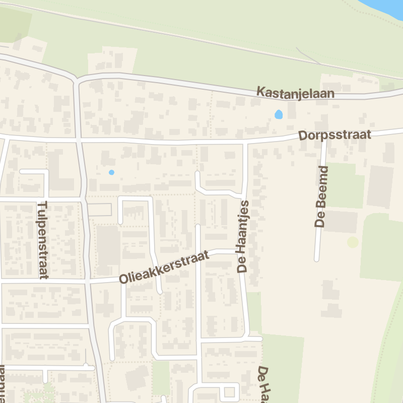 Olieakkerstraat 43