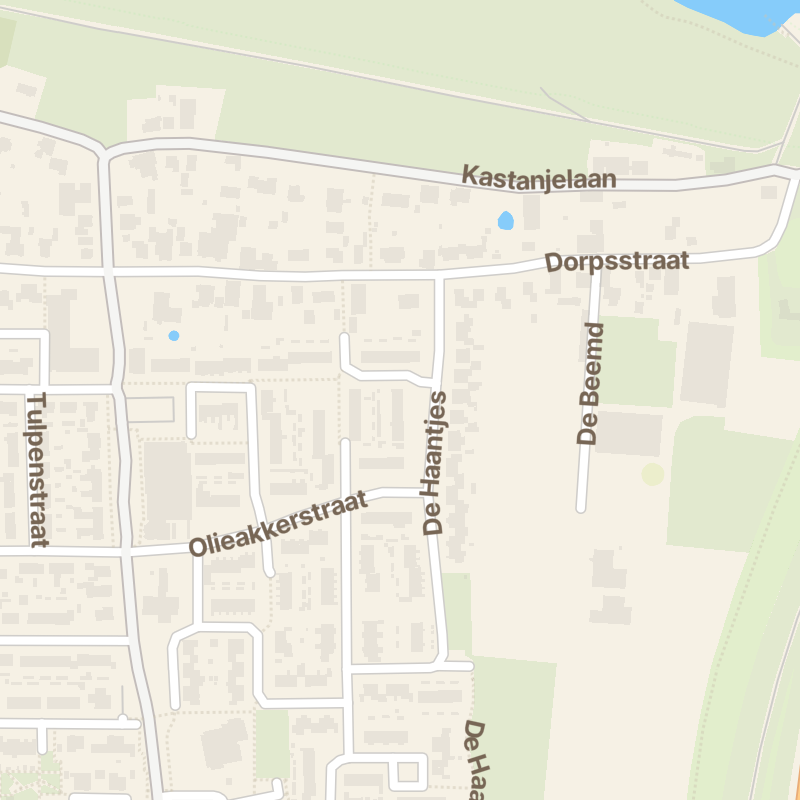 De Haantjes 32