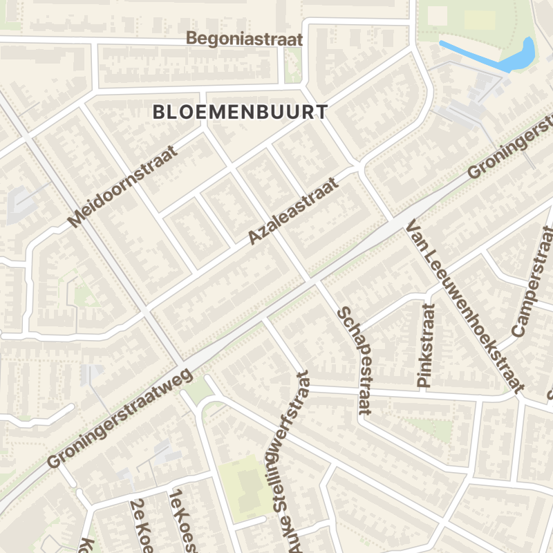 Groningerstraatweg 113