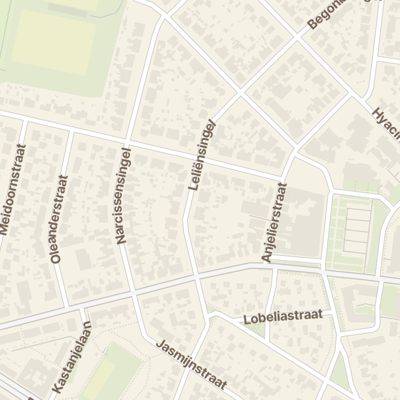 Leliënsingel 19
