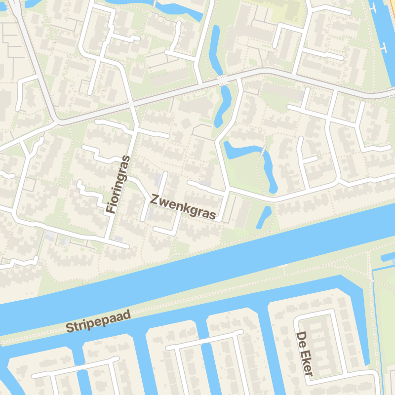 Zwenkgras 35