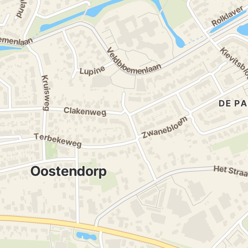 Paardebloem 19