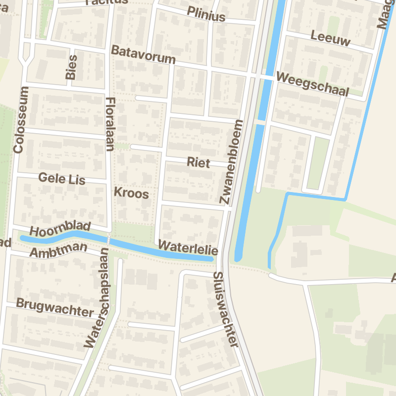 Veenwortel 19