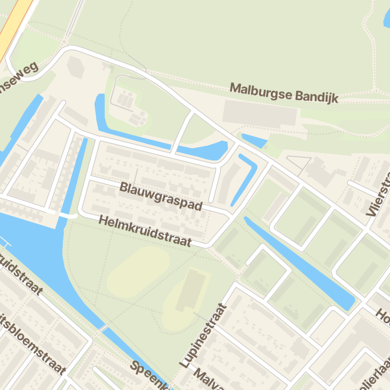 Blauwgraspad 27