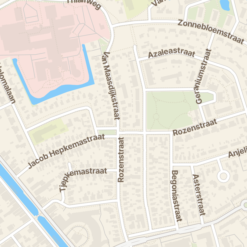 van Maasdijkstraat 44