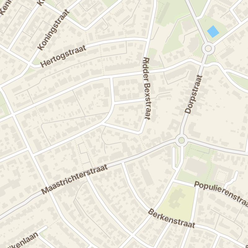 Ridder Reinerstraat 4