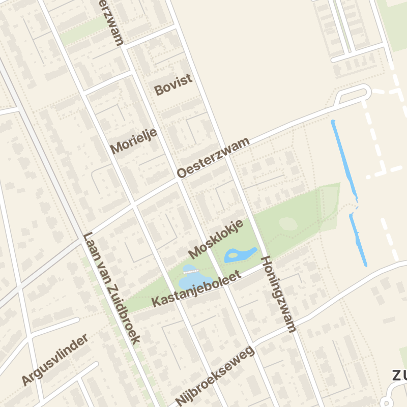 Ridderzwam 96
