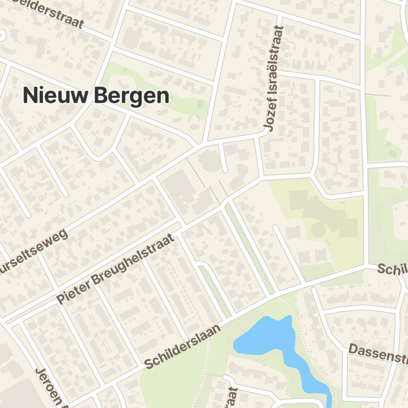 Pieter Breughelstraat 63