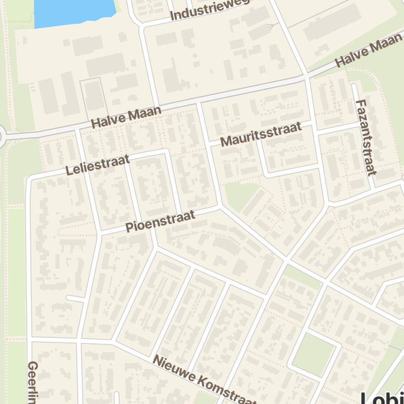 Pioenstraat 4
