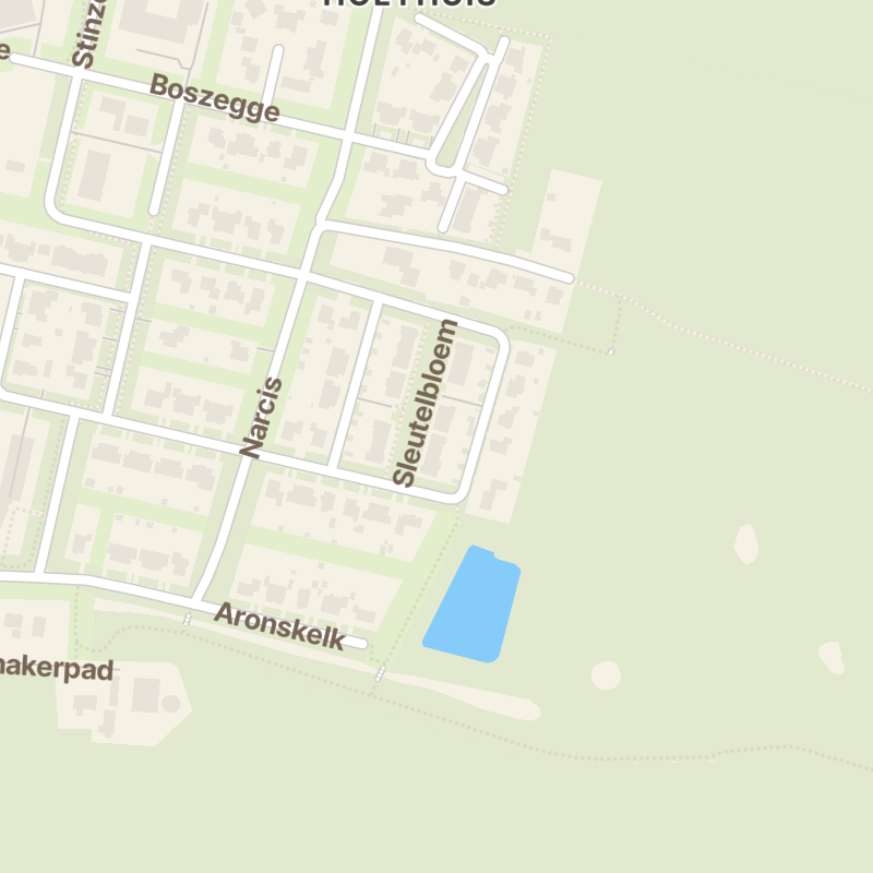 Sleutelbloem 26