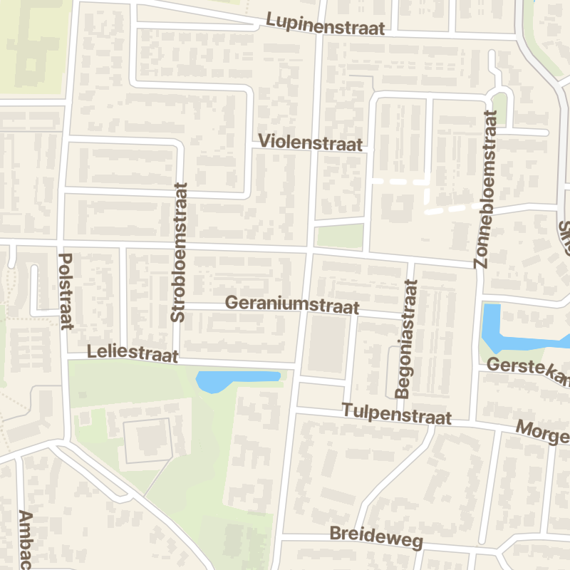 Rozenstraat 48