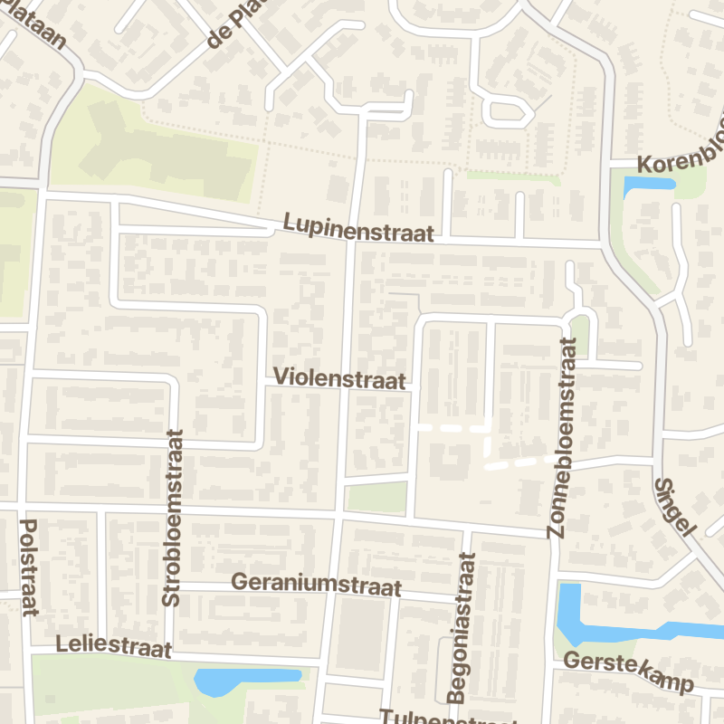 Rozenstraat 53