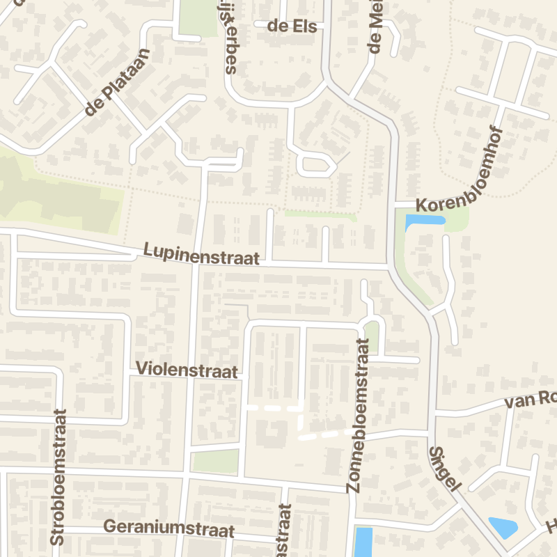 Lupinenstraat 60
