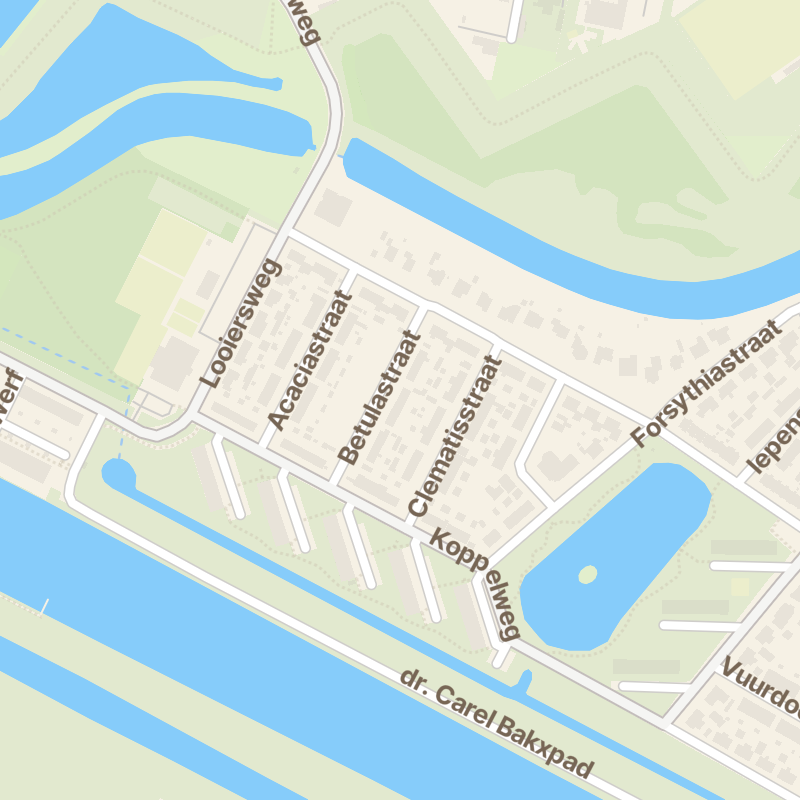 Betulastraat 11