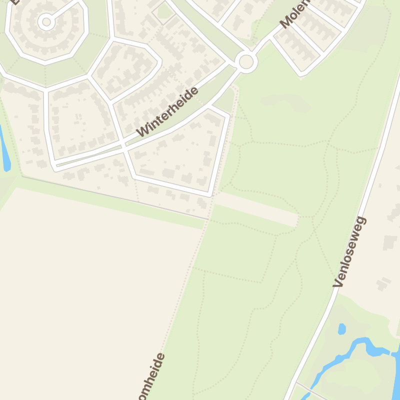 Lavendelheide 1