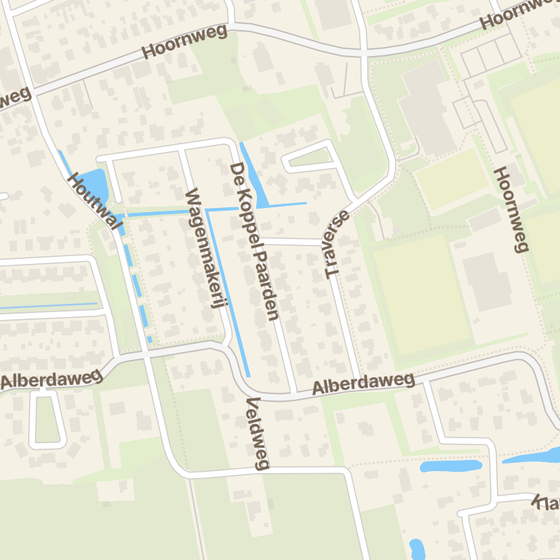 De Koppel Paarden 19