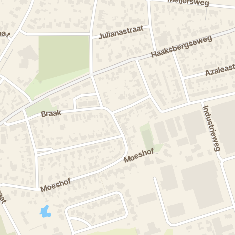Braak 52