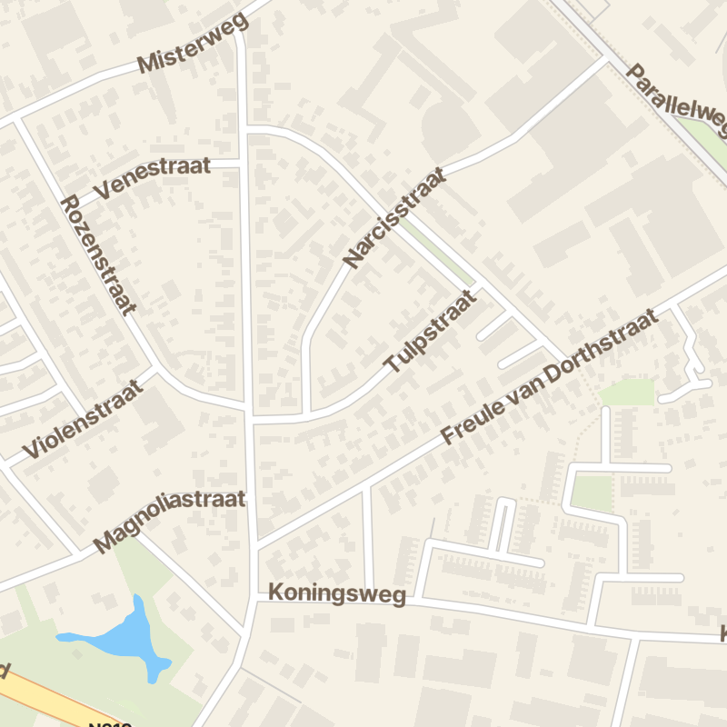 Tulpstraat 18