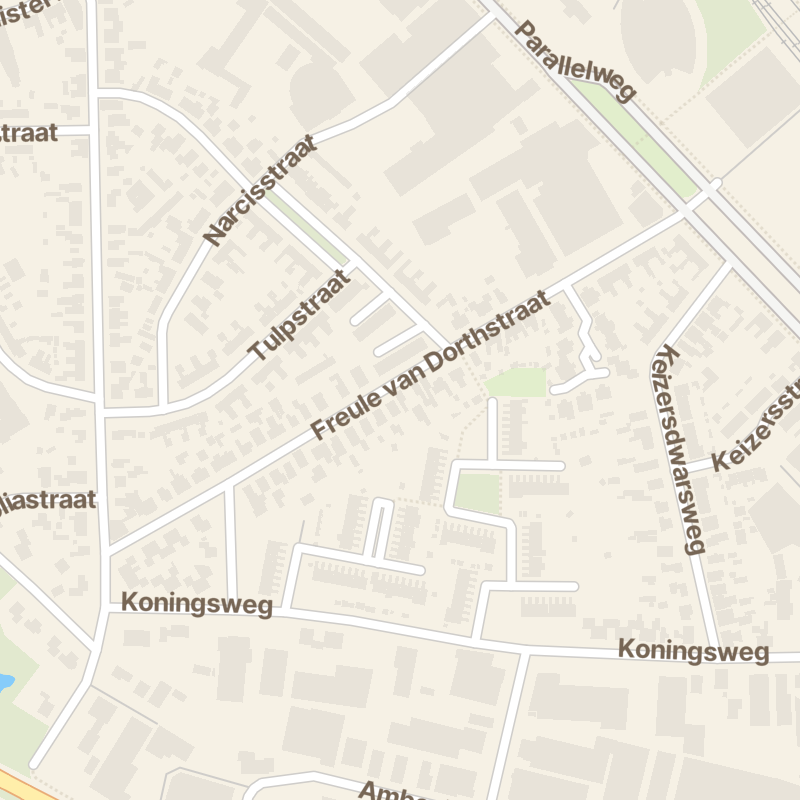 Freule van Dorthstraat 55