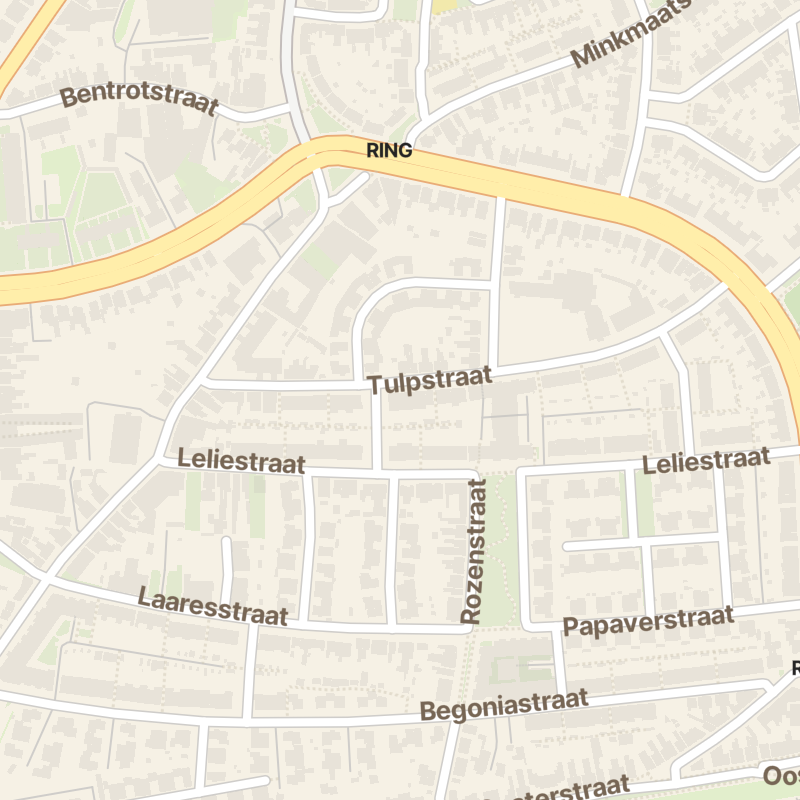 Tulpstraat 24-A