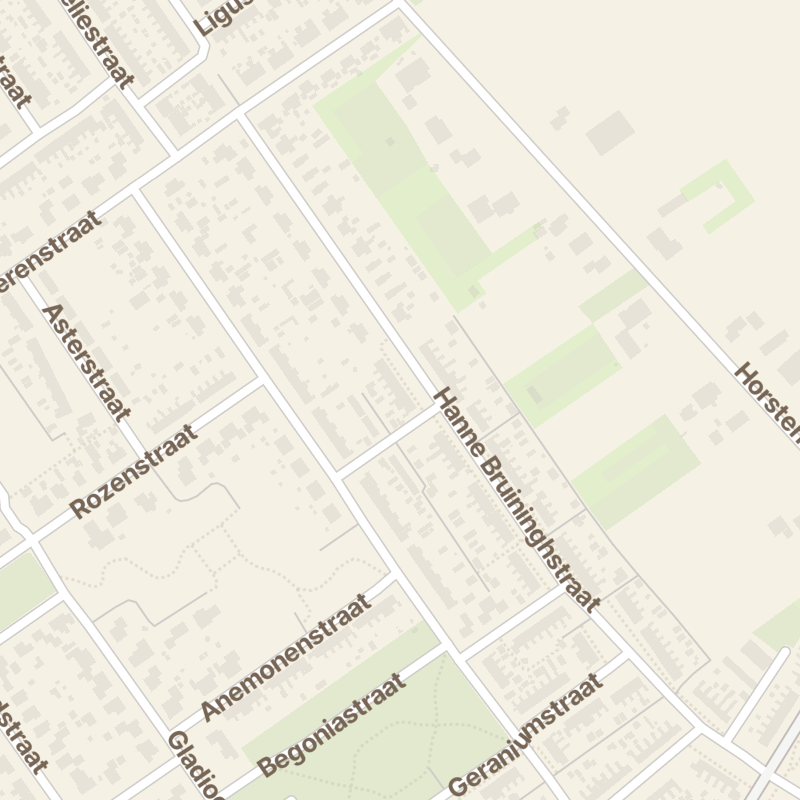 Hanne Bruininghstraat 40
